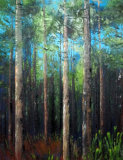 Woods