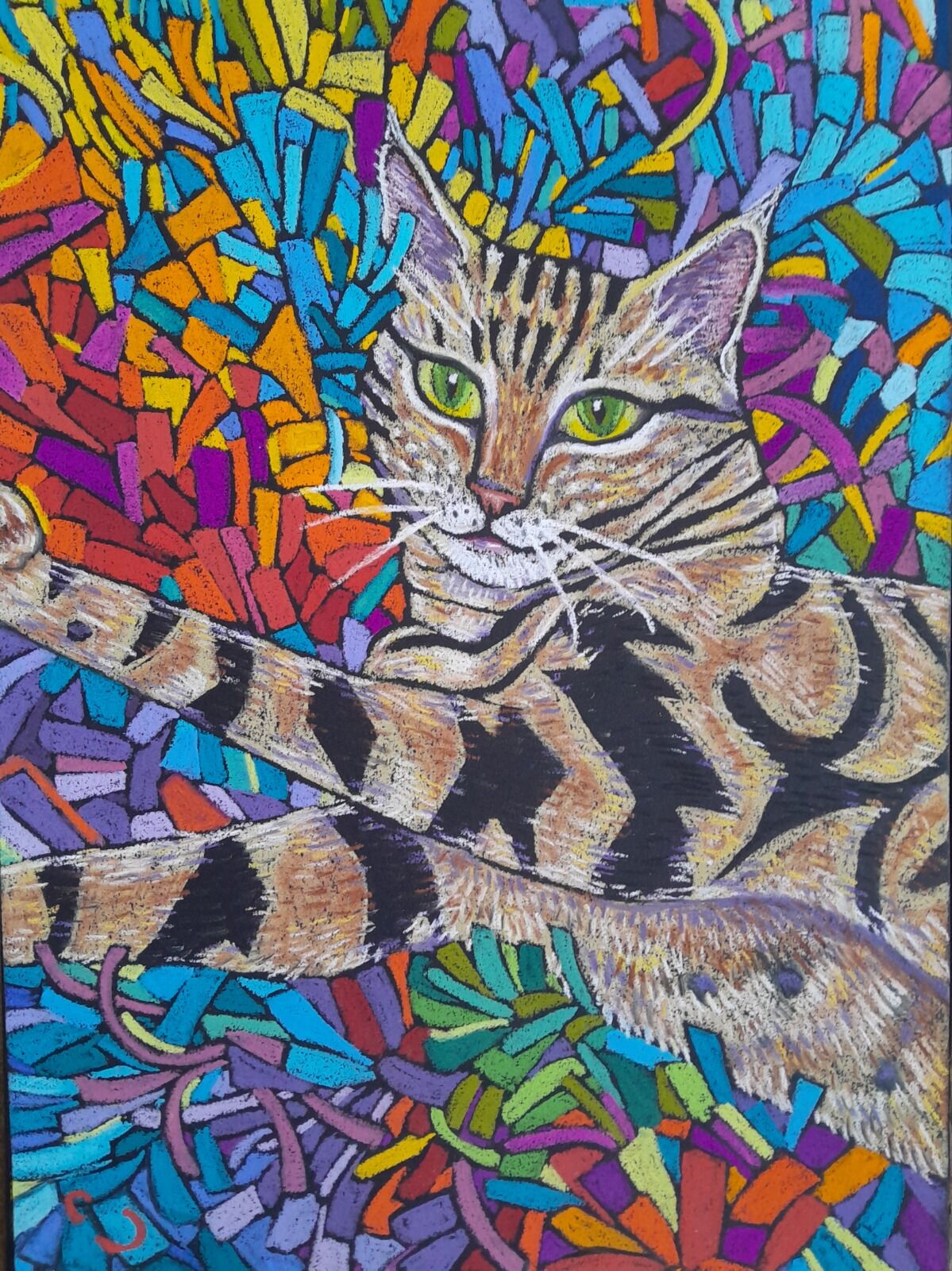 cat on a rag rug