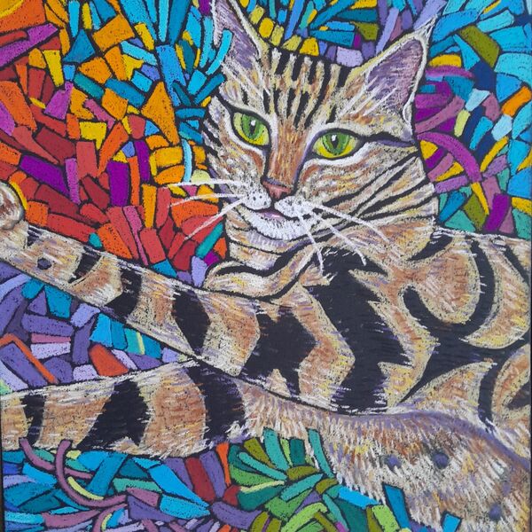 cat on a rag rug