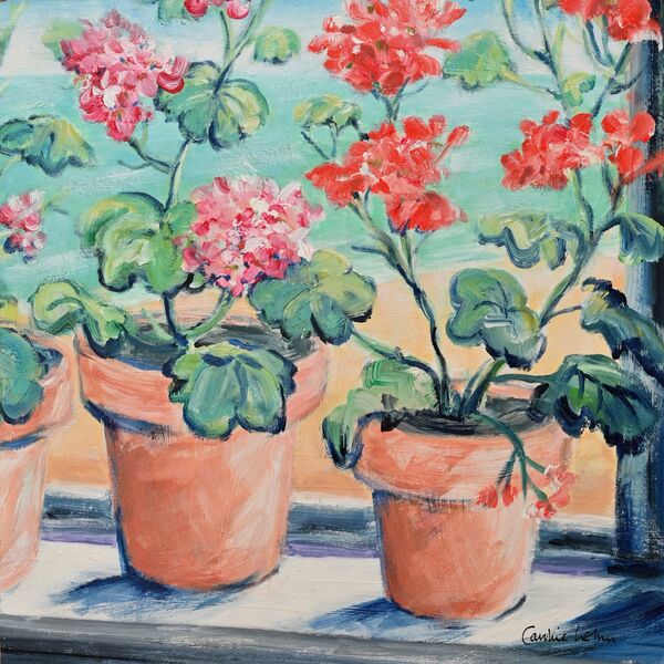 Kitchen Geraniums 40 x 40