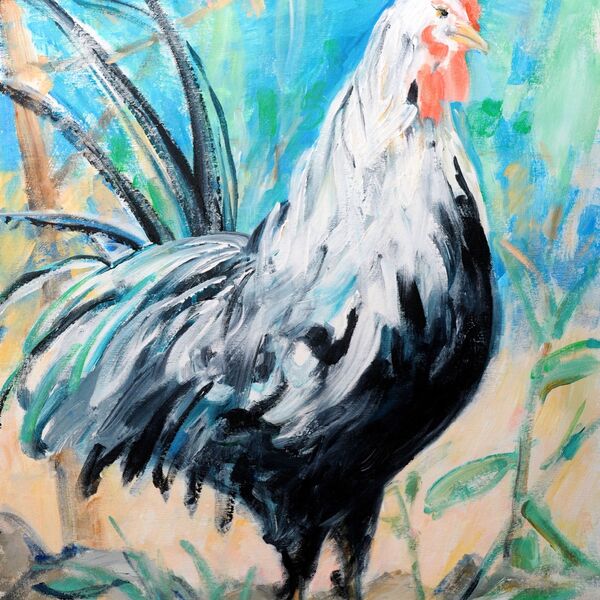 Roddy the Rooster 60 x 50 £450