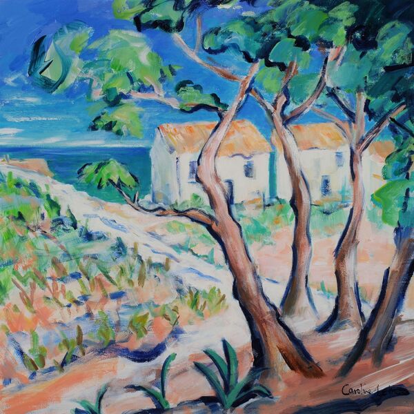 Cote de Provence 50 x 50