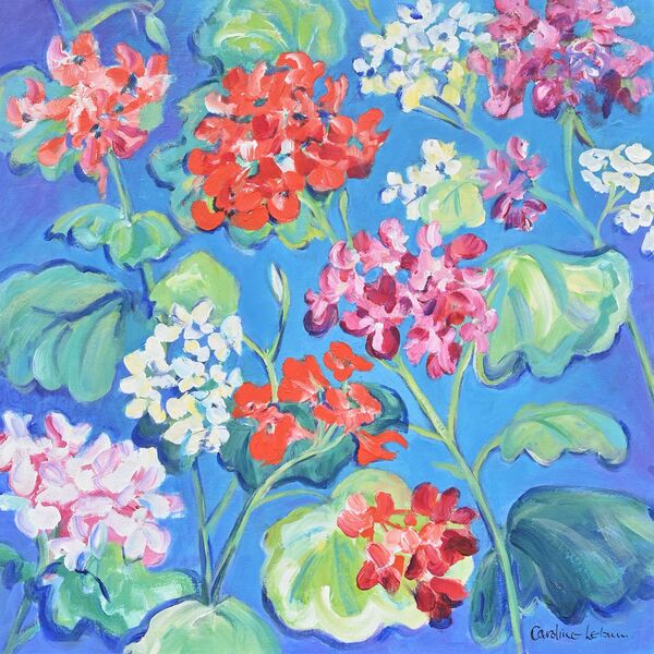 Geraniums on blue 50x50