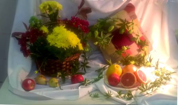 This weeks still life