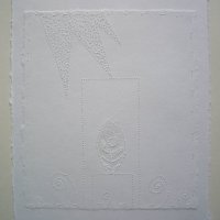 light blessed with ferns