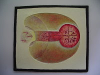 'Male/female' series