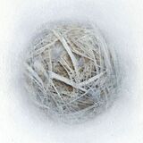 entanglement #1 (Rachel Gibson)