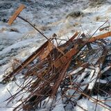 still from 'entangled'