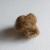 still from 'entangled'