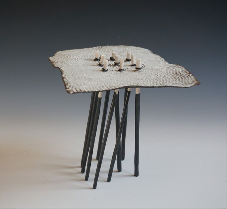 roof on legs 1 (Jan Goodey)