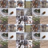 still from 'entangled'