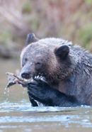 Ecotours-BC_John Gordon Photography