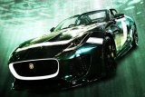 Project 7 green