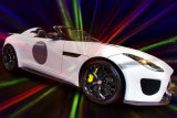 Jaguar Project 7