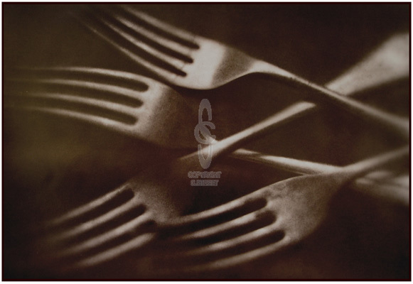 Forks