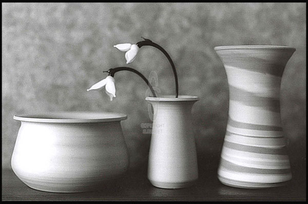 Still Life