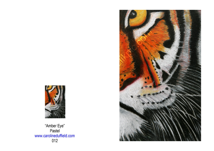 AMBER EYE A6 CARD