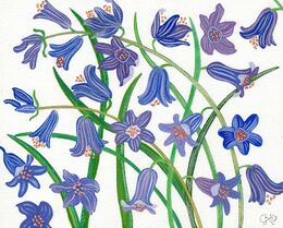 BLUEBELLS DESIGN