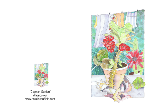 Cayman Garden A6 Card
