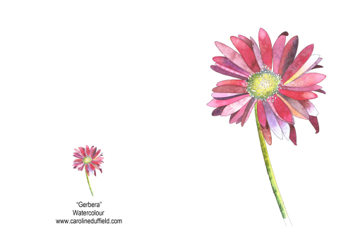 Gerbera A6 Card