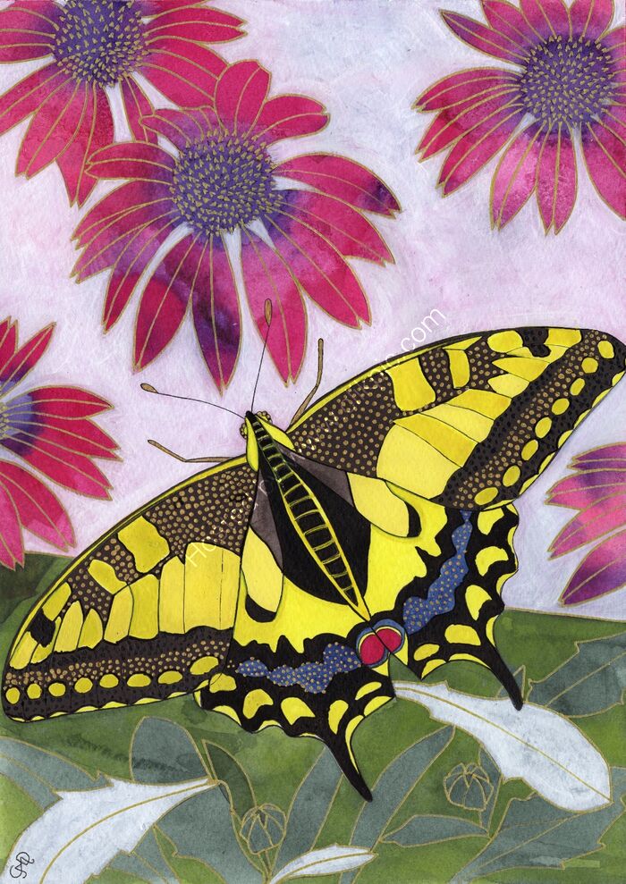 SWALLOWTAIL BUTTERFLY