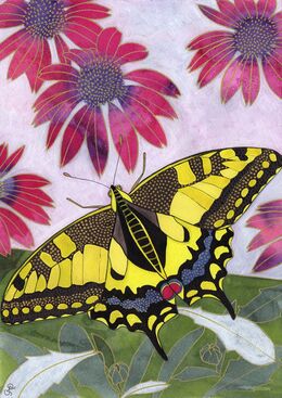SWALLOWTAIL BUTTERFLY
