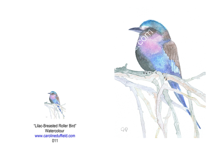 Lilac Breasted Roller Bird A6 Card