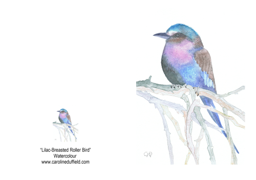 Lilac Breasted Roller Bird A6 Card