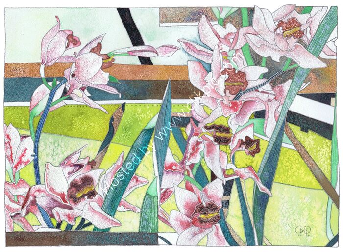 ORCHIDS SPRAY