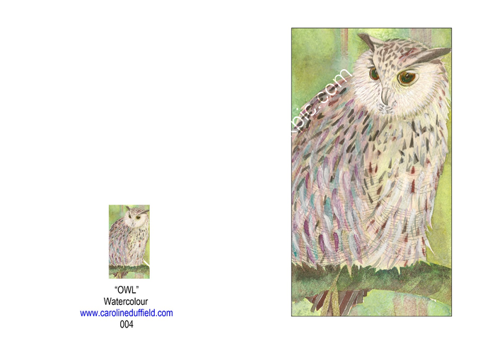 OWL A6 CARD