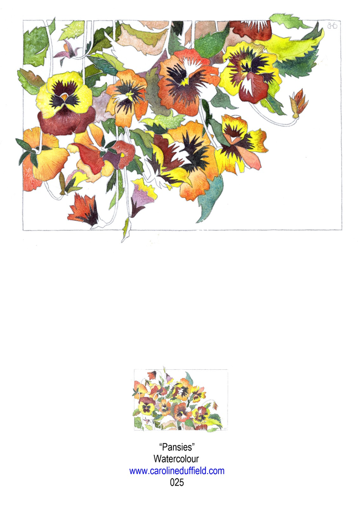 Pansies A6 Card