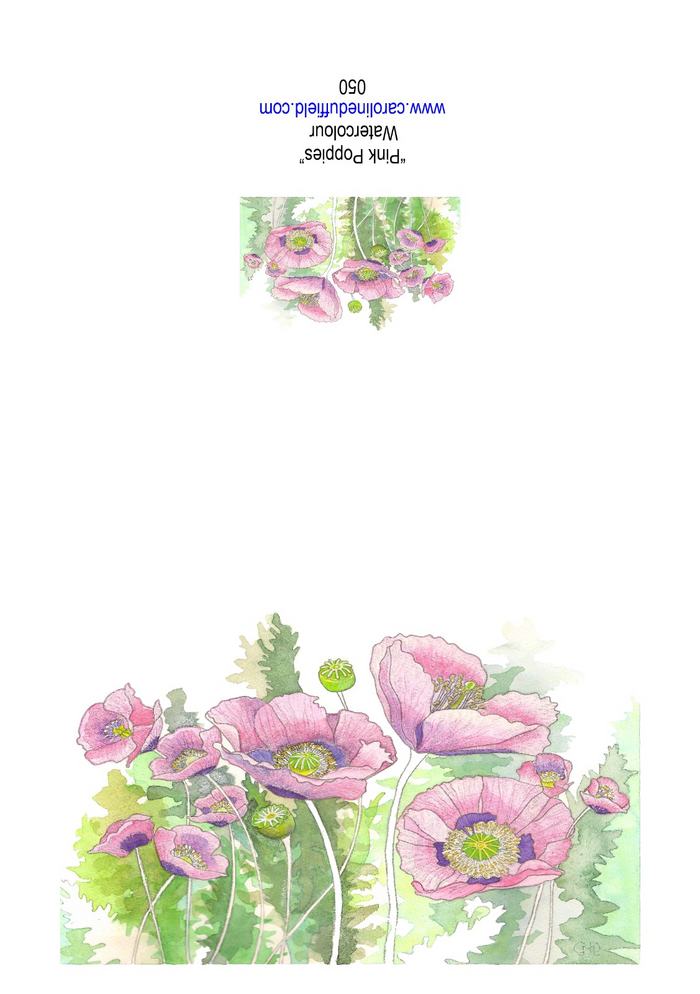Pink Poppies A6 Card