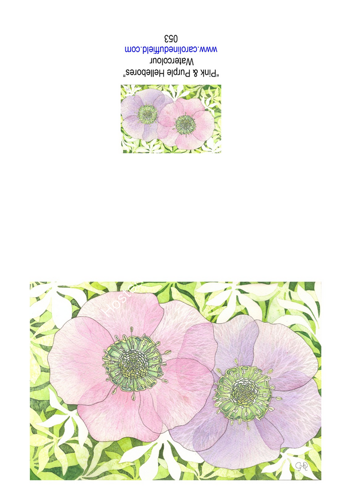 Pink & Purple Hellebores A6 Card