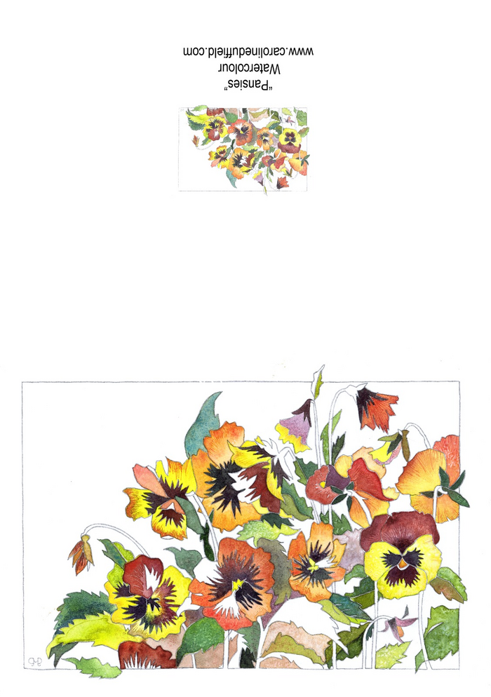 Pansies A6 Card