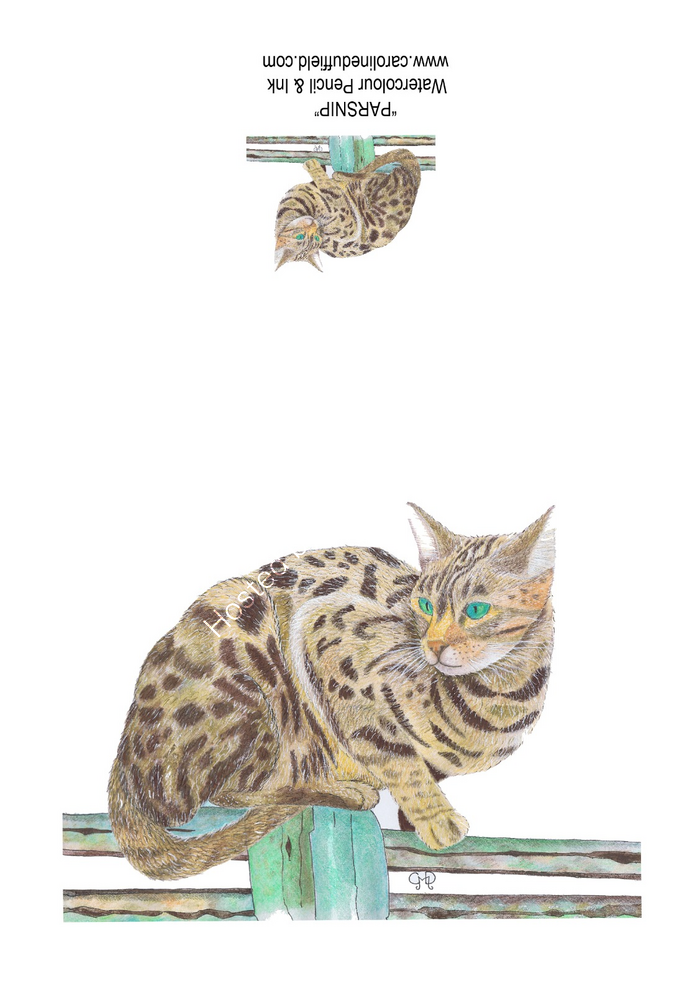 Parsnip the Cat A6 Card