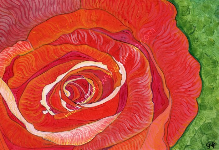 RED ROSE