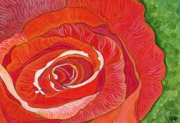 RED ROSE