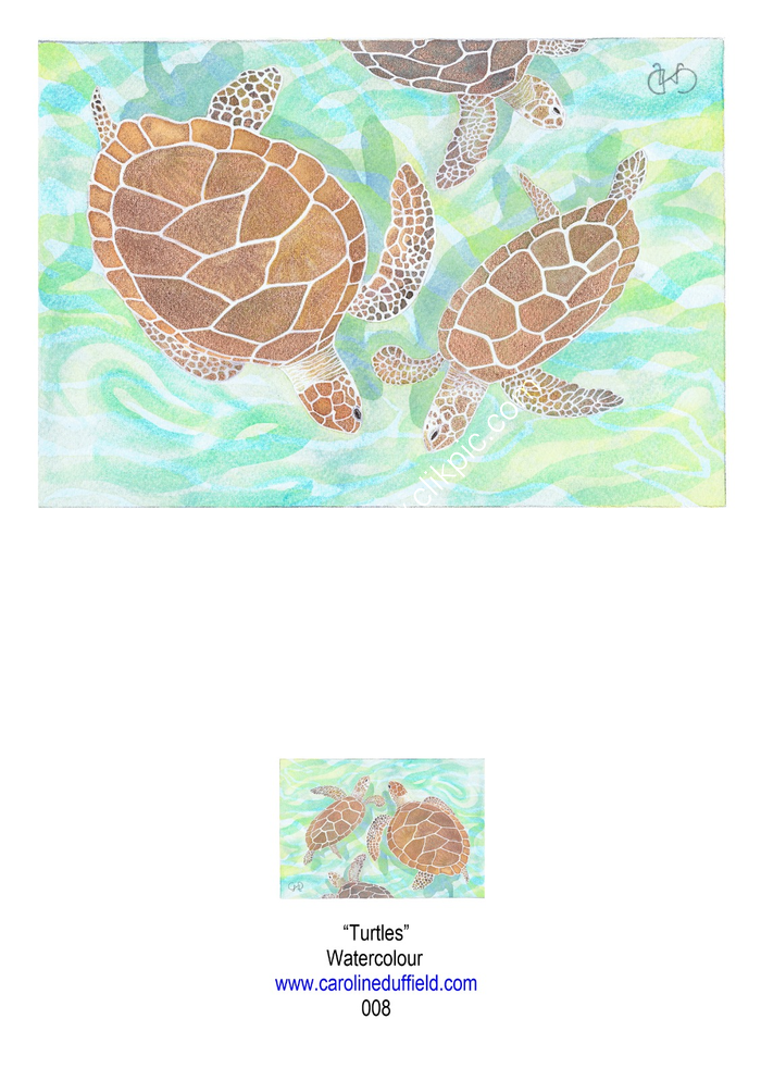 Turtles A6 Card