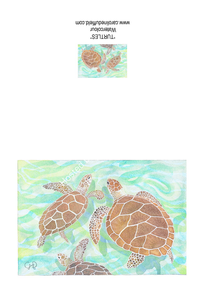 Turtles A6 Card