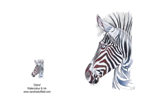 Zebra A6 Card