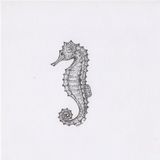 Seahorse