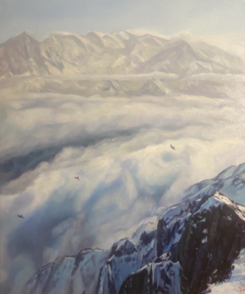 For Sale £1200.       Inversion, Chamonix Valley.