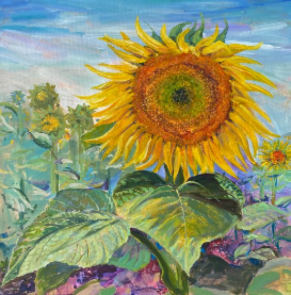 ‘A Ray of Sunshine’
