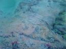 'Resting Plaice'. Shortlisted for the David Shepherd Wildlife Artist of the Year award 2010. Original Watercolour SOLD