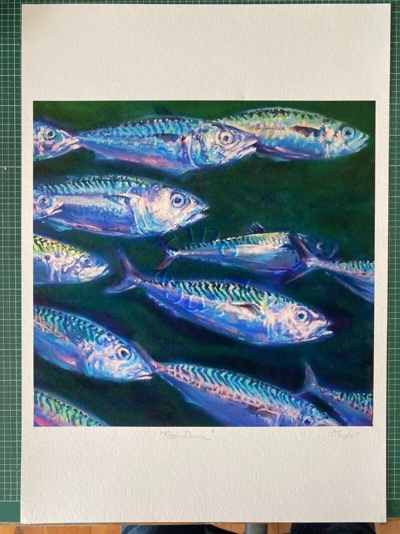 'Flash Dance' prints available from £35