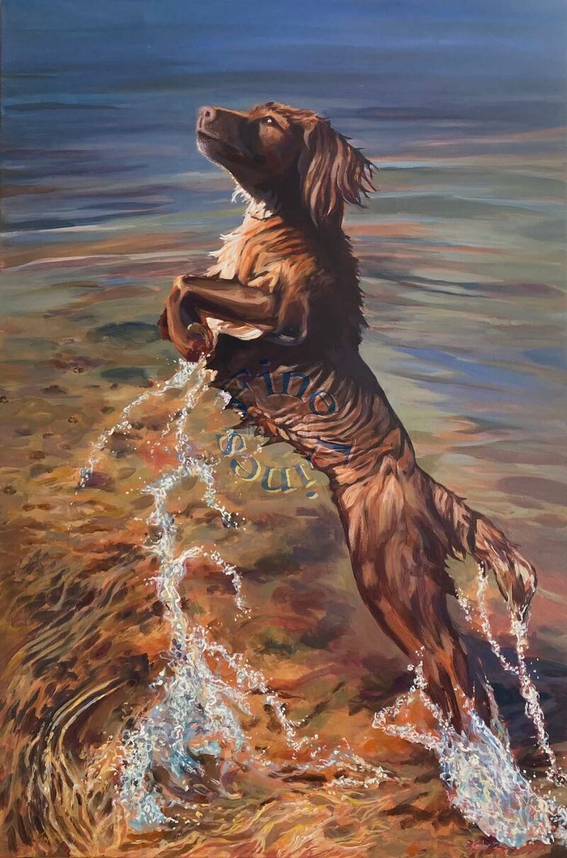 Summertime Walkies