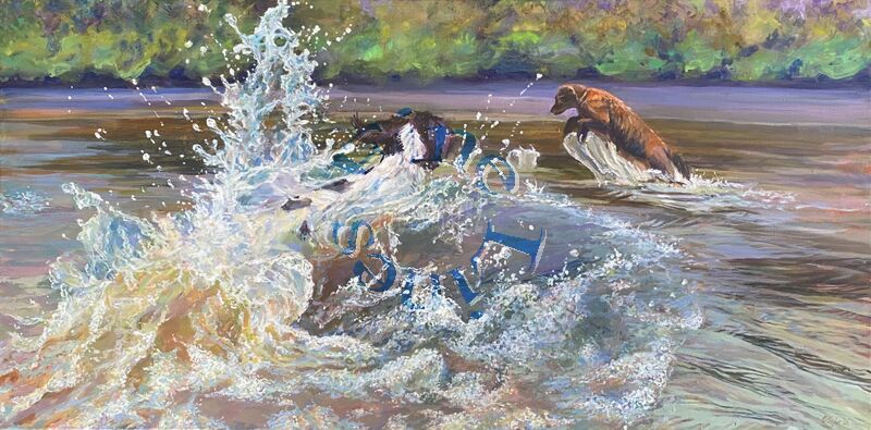 ‘Chasing the Splash’