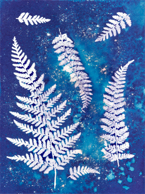 CYANOTYPES