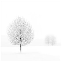 Snowscene 1