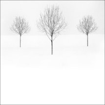 Snowscene 2